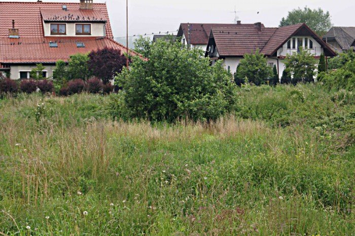 wasciciel-placu-na-zabobrzu-iii-wykosi-chaszcze-foto-52359