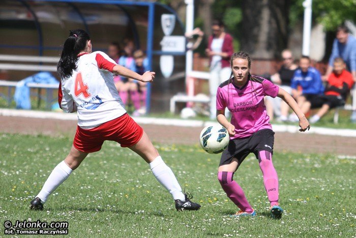 darbor-zdemolowa-orlika-foto-52389