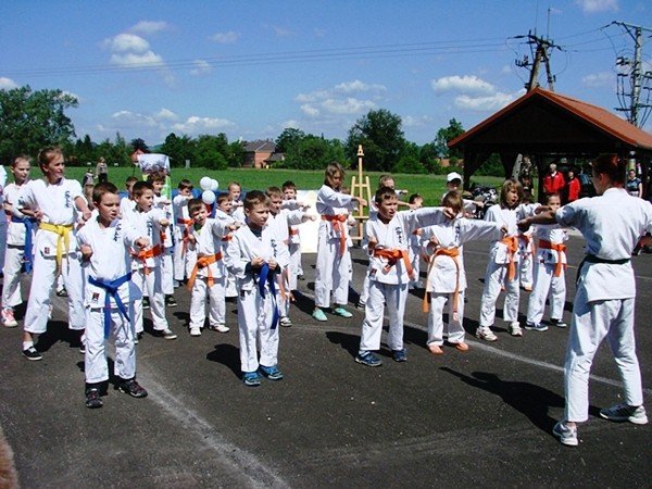 swietna-zabawa-na-pikniku-rodzinnym-w-sobieszowie-foto-52419