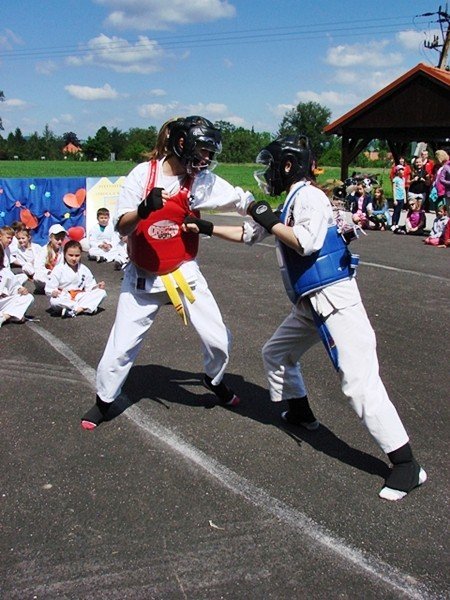 swietna-zabawa-na-pikniku-rodzinnym-w-sobieszowie-foto-52419
