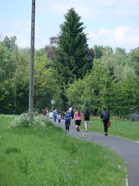 swietna-zabawa-na-pikniku-rodzinnym-w-sobieszowie-foto-52419