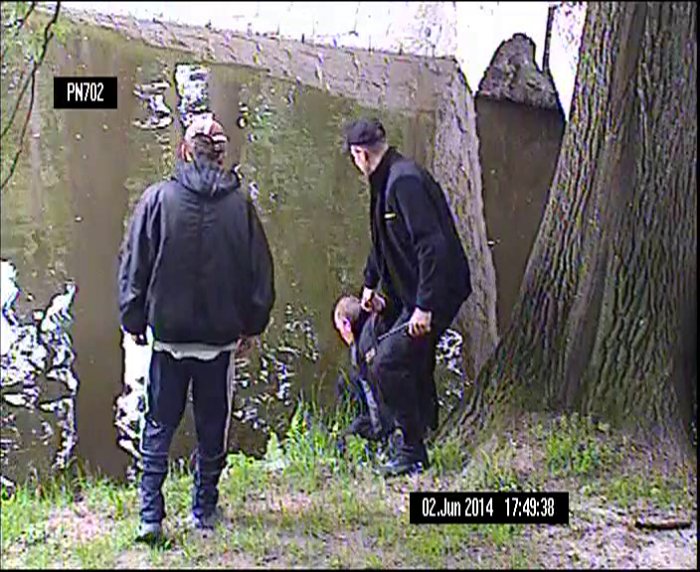 owili-ryby-w-parku-norweskim-foto-52445