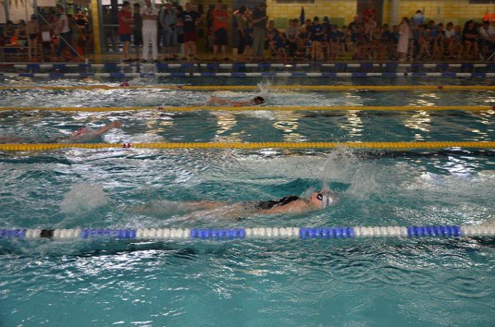 pywacy-just-swim-z-medalami-foto-52454