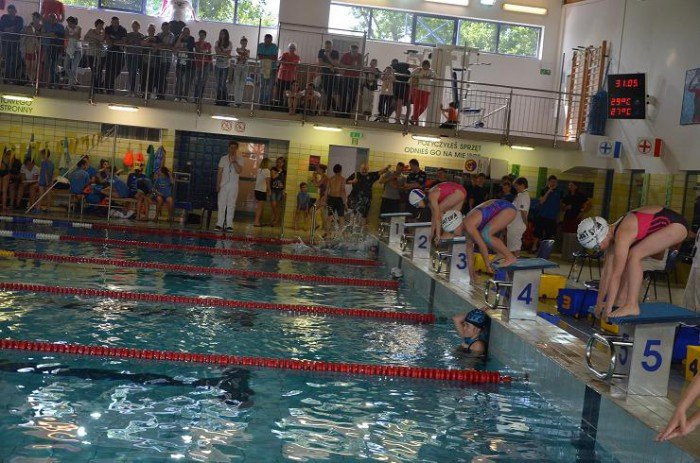 pywacy-just-swim-z-medalami-foto-52454