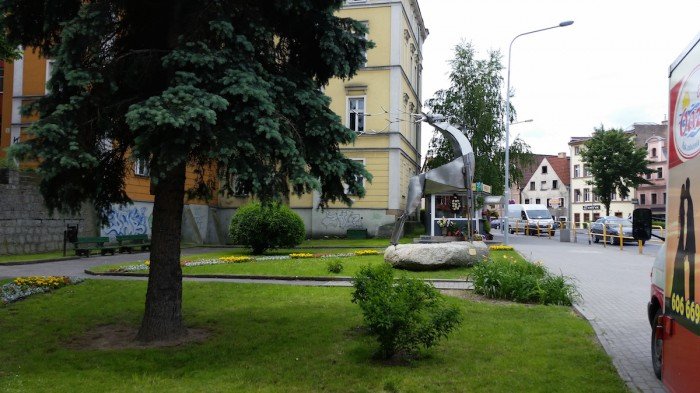 jelenia-gora-miastem-15-tysiecy-kwiatow-foto-52485
