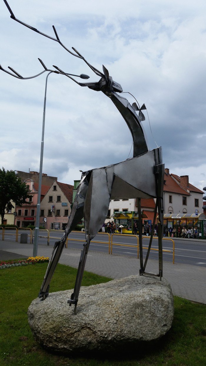 jelenia-gora-miastem-15-tysiecy-kwiatow-foto-52485