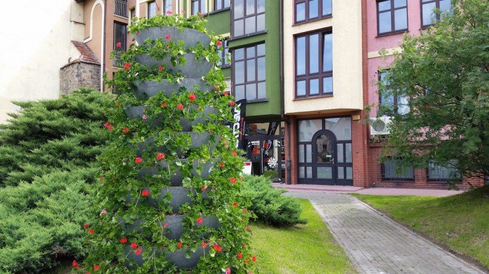 jelenia-gora-miastem-15-tysiecy-kwiatow-foto-52485