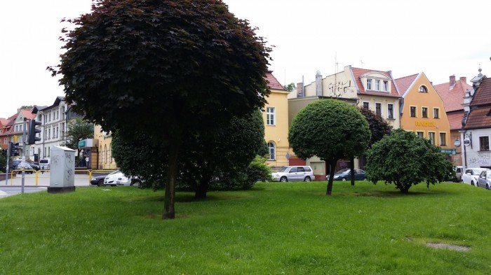 jelenia-gora-miastem-15-tysiecy-kwiatow-foto-52485