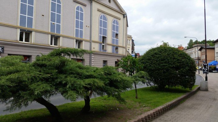 jelenia-gora-miastem-15-tysiecy-kwiatow-foto-52485