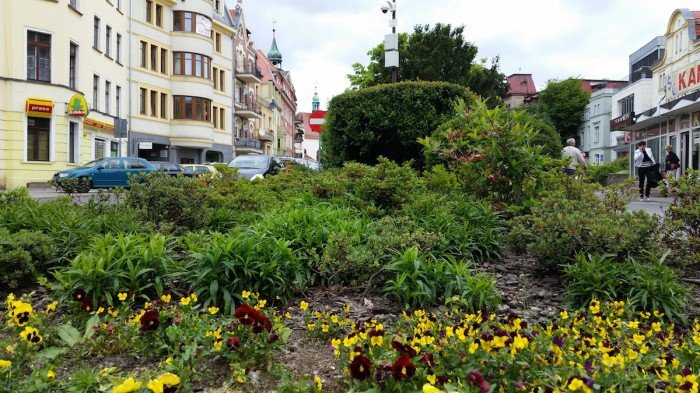 jelenia-gora-miastem-15-tysiecy-kwiatow-foto-52485