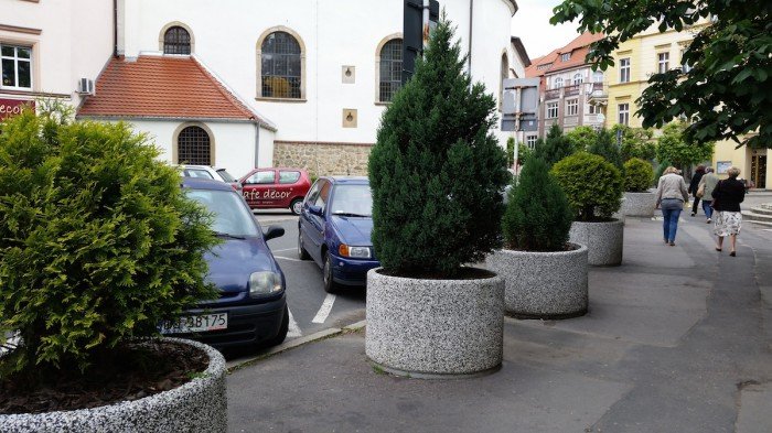 jelenia-gora-miastem-15-tysiecy-kwiatow-foto-52485