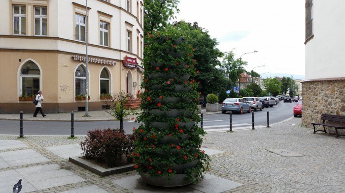 jelenia-gora-miastem-15-tysiecy-kwiatow-foto-52485