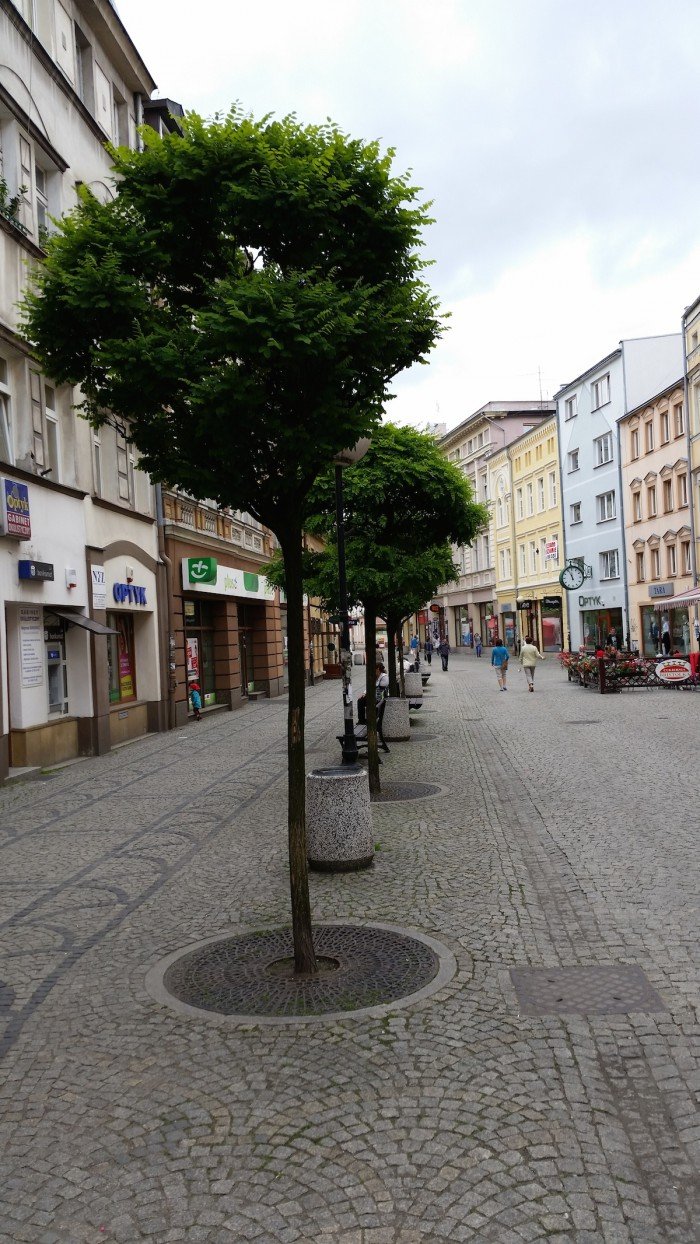 jelenia-gora-miastem-15-tysiecy-kwiatow-foto-52485