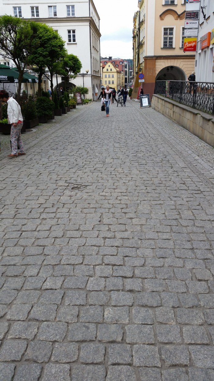jelenia-gora-miastem-15-tysiecy-kwiatow-foto-52485