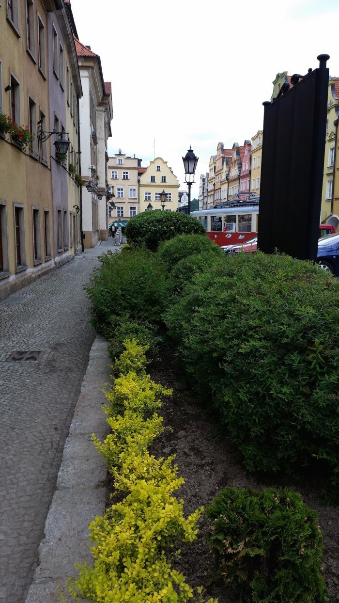 jelenia-gora-miastem-15-tysiecy-kwiatow-foto-52485