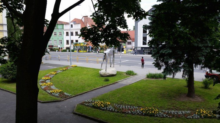 jelenia-gora-miastem-15-tysiecy-kwiatow-foto-52485