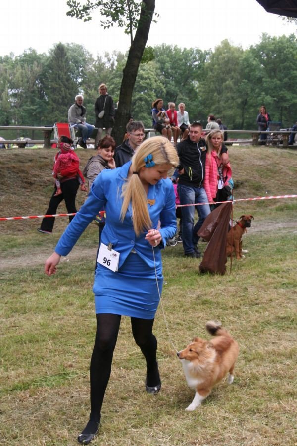 rasowe-psy-zaprezentoway-sie-w-cieplicach-foto-52696