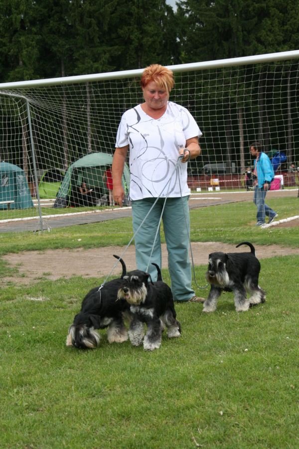 rasowe-psy-zaprezentoway-sie-w-cieplicach-foto-52696