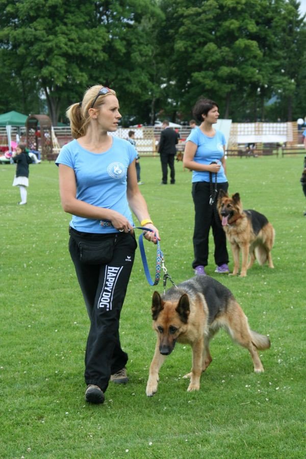 rasowe-psy-zaprezentoway-sie-w-cieplicach-foto-52696