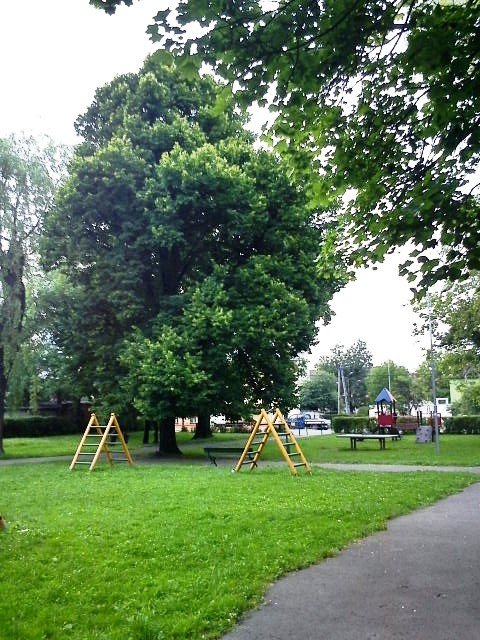 plac-zabaw-w-sobieszowie-nie-dla-dzieci-foto-52836