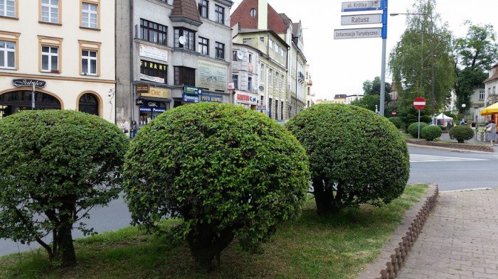 tworzy-od-lat-w-naszym-miescie-zielone-rzezby-foto-52876