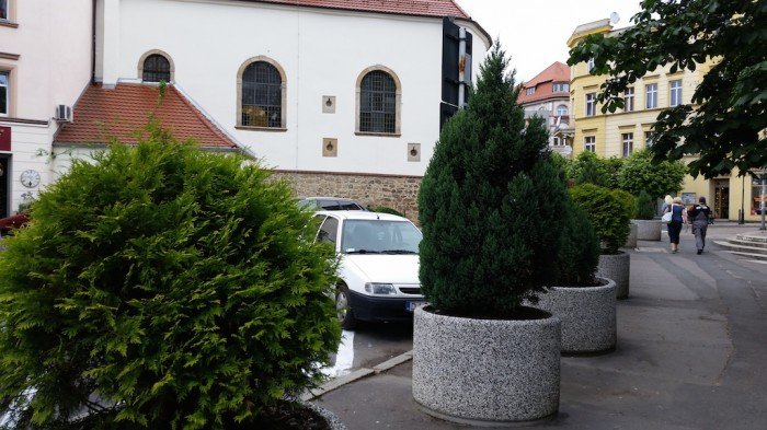 tworzy-od-lat-w-naszym-miescie-zielone-rzezby-foto-52876