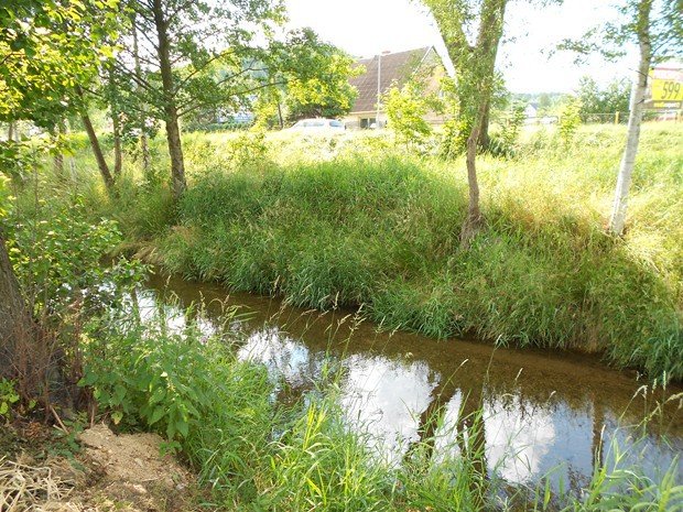 kusowali-w-maciejowej-foto-52891