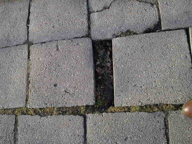 ruszya-budowa-chodnika-przy-swierkowej-a-co-z-ogrodowa-foto-52892
