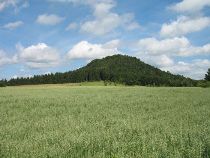 zota-i-srebra-nie-odnalezli-ale-foto-52929