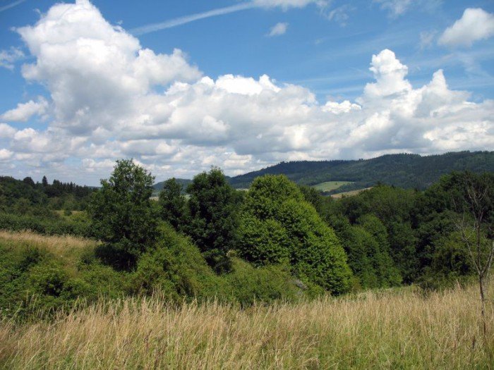 zota-i-srebra-nie-odnalezli-ale-foto-52929
