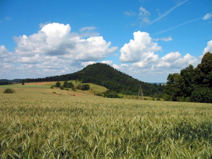 zota-i-srebra-nie-odnalezli-ale-foto-52929