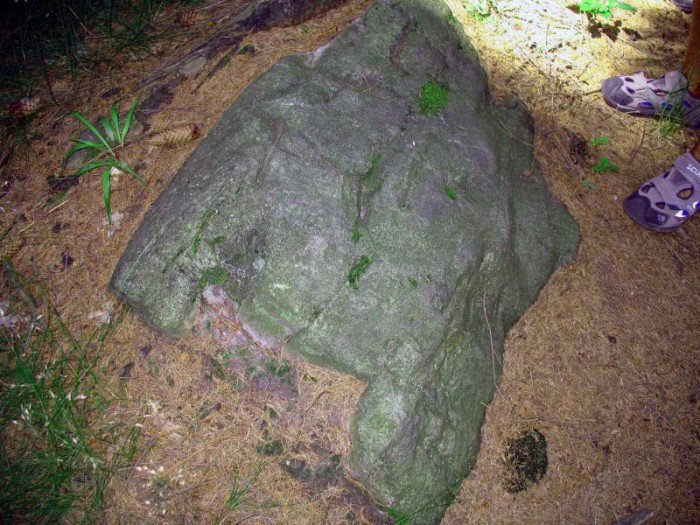 zota-i-srebra-nie-odnalezli-ale-foto-52929