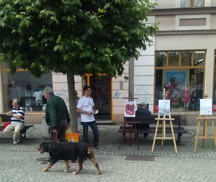modziezowka-pisu-pamieci-rzezi-woynskiej-foto-52960