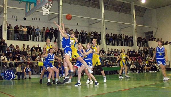 azs-kolegium-karkonoskie-kania-torun-relacja-i-foto-z-meczu-koszykowki-5299