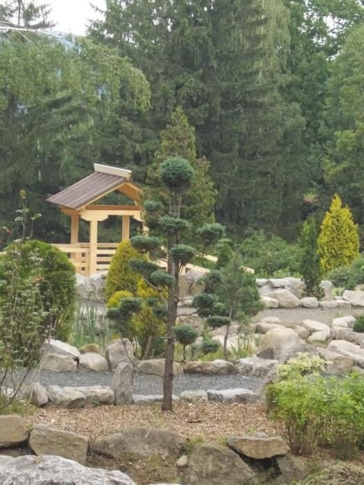 w-przesiece-powsta-ogrod-japonski-foto-53037