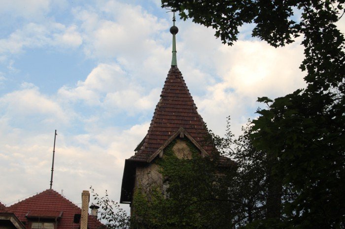 co-z-zameczkiem-w-tym-roku-remont-dachu-foto-53055