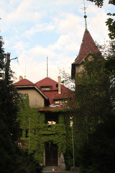 co-z-zameczkiem-w-tym-roku-remont-dachu-foto-53055