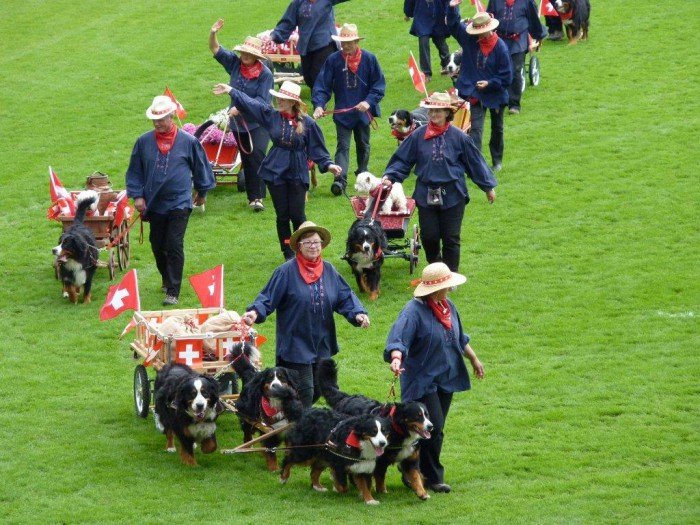 greko-jak-rozwijac-regiony-seminarium-z-udziaem-powiatu-foto-53075