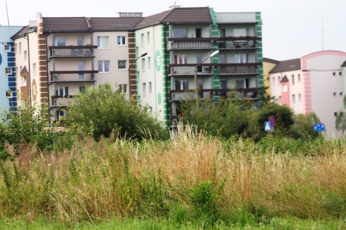 plac-na-zabobrzu-z-planami-na-zagospodarowanie-foto-53097