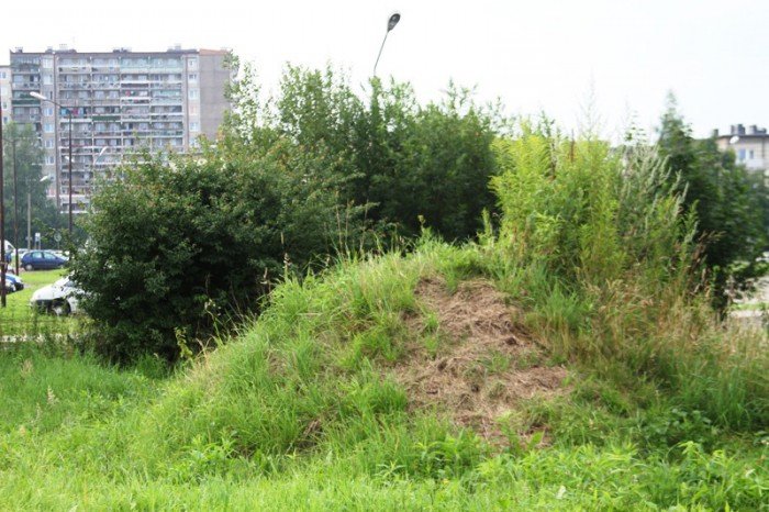 plac-na-zabobrzu-z-planami-na-zagospodarowanie-foto-53097