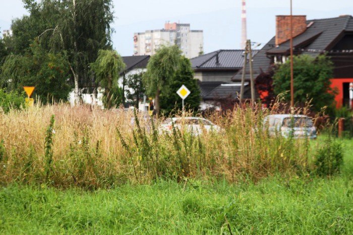 plac-na-zabobrzu-z-planami-na-zagospodarowanie-foto-53097
