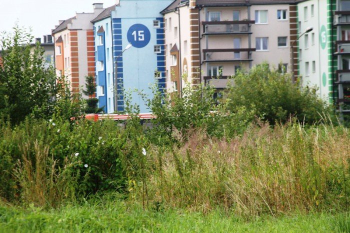 plac-na-zabobrzu-z-planami-na-zagospodarowanie-foto-53097
