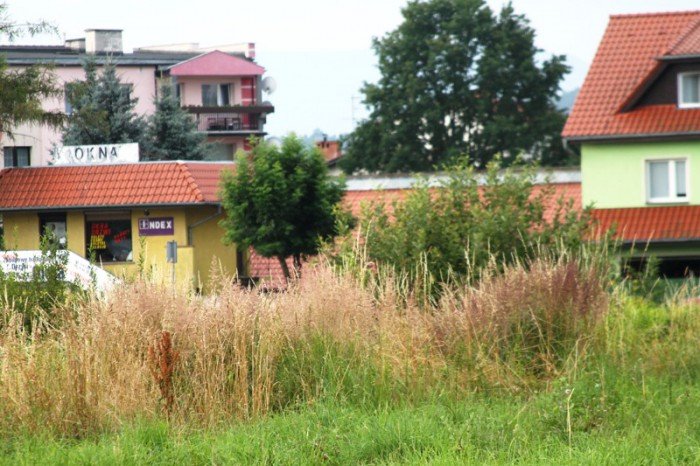 plac-na-zabobrzu-z-planami-na-zagospodarowanie-foto-53097