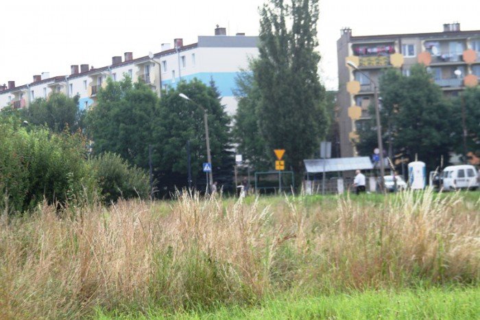 plac-na-zabobrzu-z-planami-na-zagospodarowanie-foto-53097