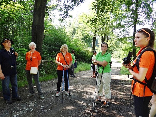 park-w-bukowcu-zdobyty-podczas-spaceru-z-kijkami-foto-53151