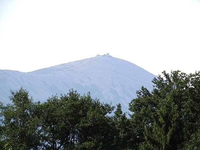 park-w-bukowcu-zdobyty-podczas-spaceru-z-kijkami-foto-53151