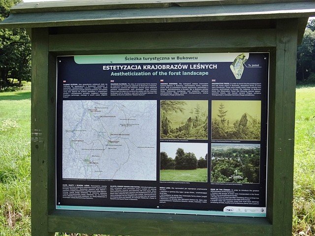 park-w-bukowcu-zdobyty-podczas-spaceru-z-kijkami-foto-53151