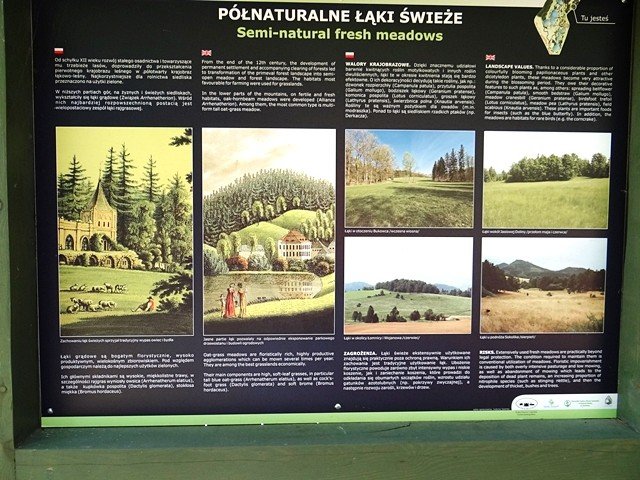 park-w-bukowcu-zdobyty-podczas-spaceru-z-kijkami-foto-53151