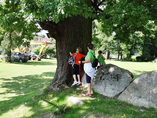 park-w-bukowcu-zdobyty-podczas-spaceru-z-kijkami-foto-53151