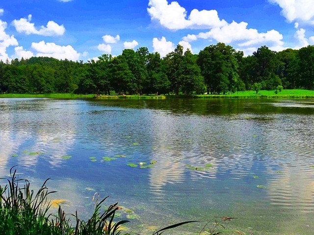 park-w-bukowcu-zdobyty-podczas-spaceru-z-kijkami-foto-53151